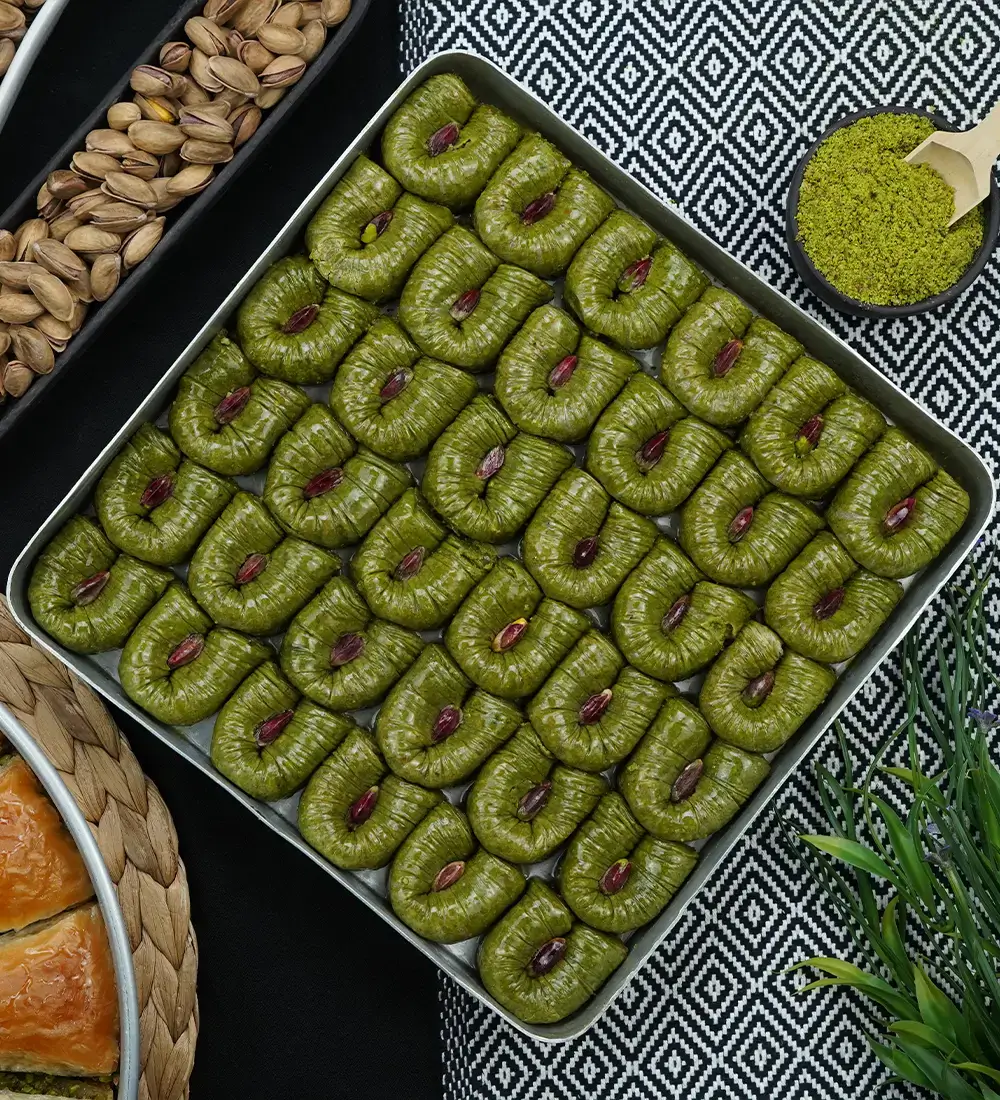 Fıstıklı Bülbül