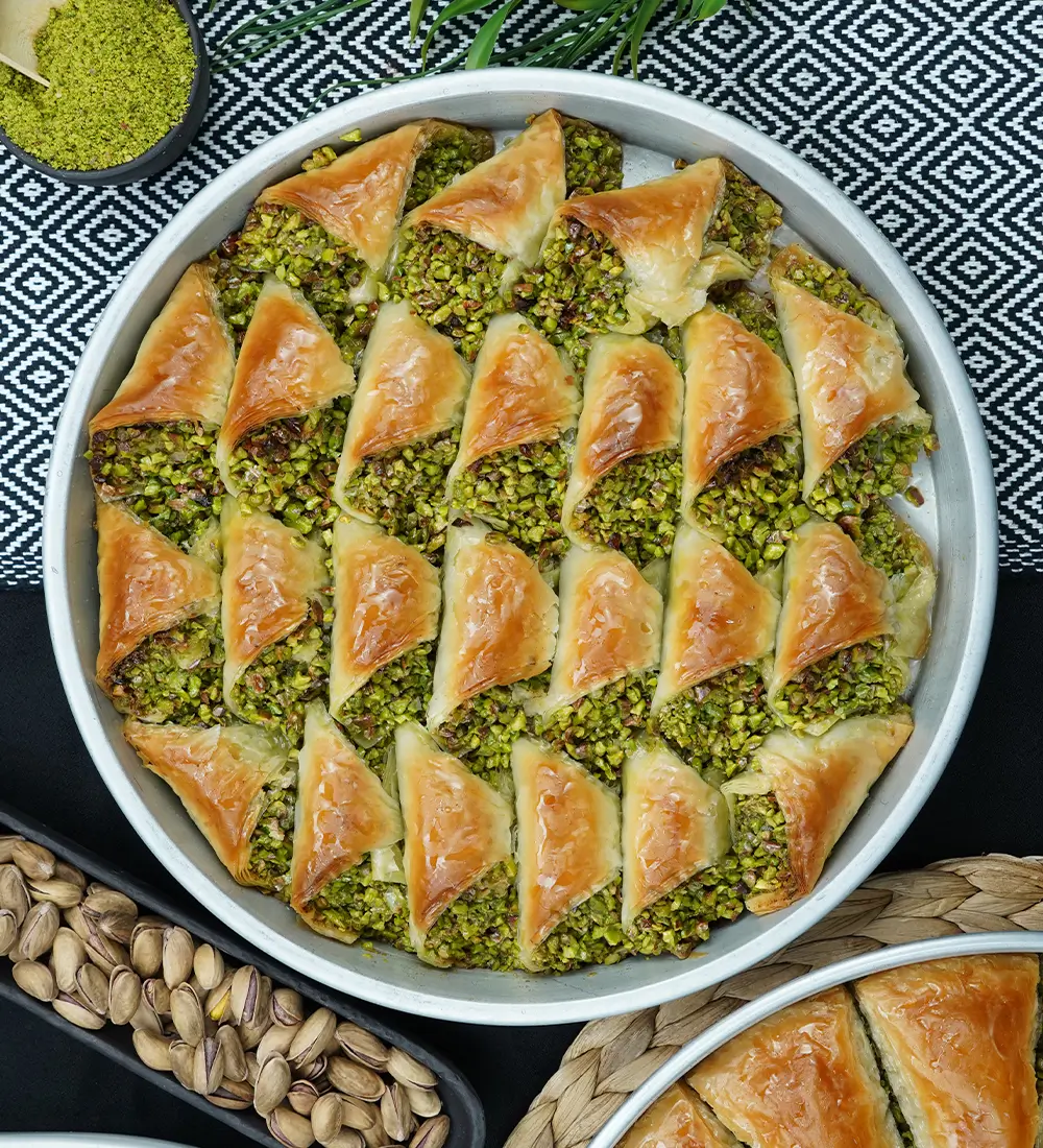İri Fıstıklı Şöbiyet